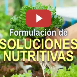 Curso Soluciones Nutritivas