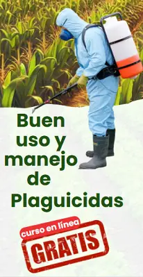 Curso BUMP Plaguicidas